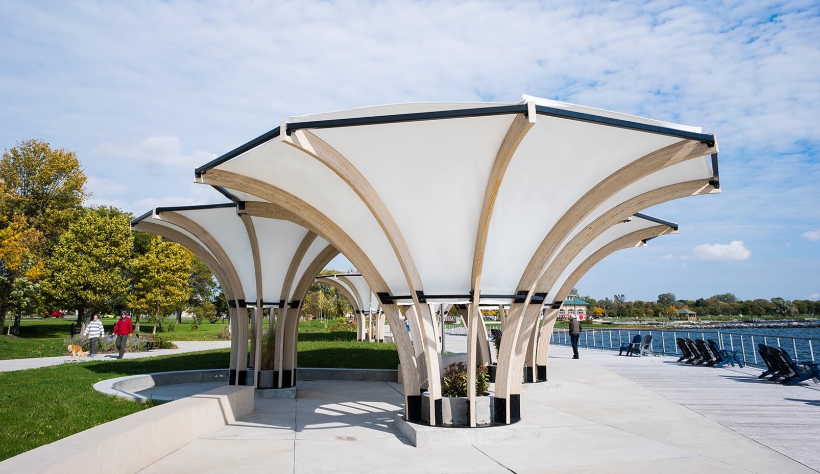 Wood laminate beams supporting a modern, curved shelter structure at a park.