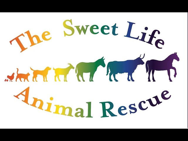 Colorful logo of 'The Sweet Life Animal Rescue' with silhouettes of animals.